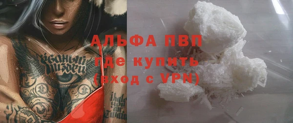 PSILOCYBIN Михайлов