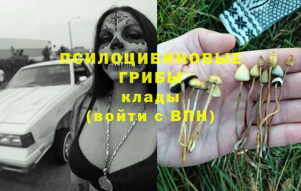 СК Надым