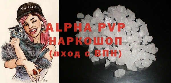 СК Надым