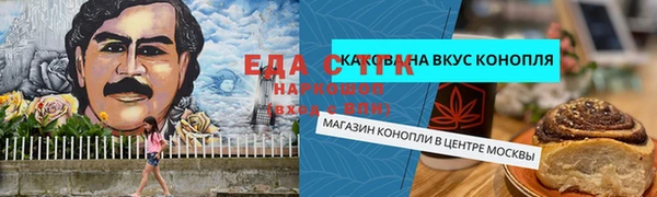 стаф Ельня