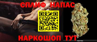 индика Беслан