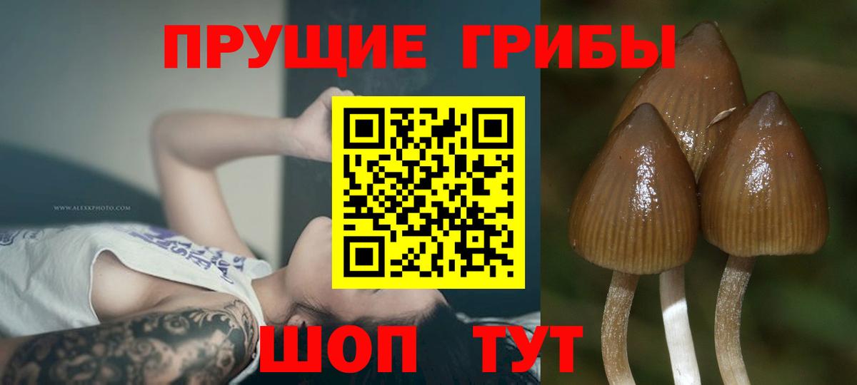 Псилоцибиновые грибы мицелий Лабытнанги